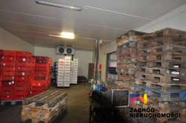 Budynek Socjalono-biurowy z magazynami na działce 2,32ha w miejscowości Racula na sprzedaż!!!